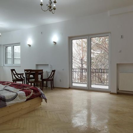 Central Appartment - Heart Of Bucharest - Sector 1 - New Renovated - Open Space Bagian luar foto