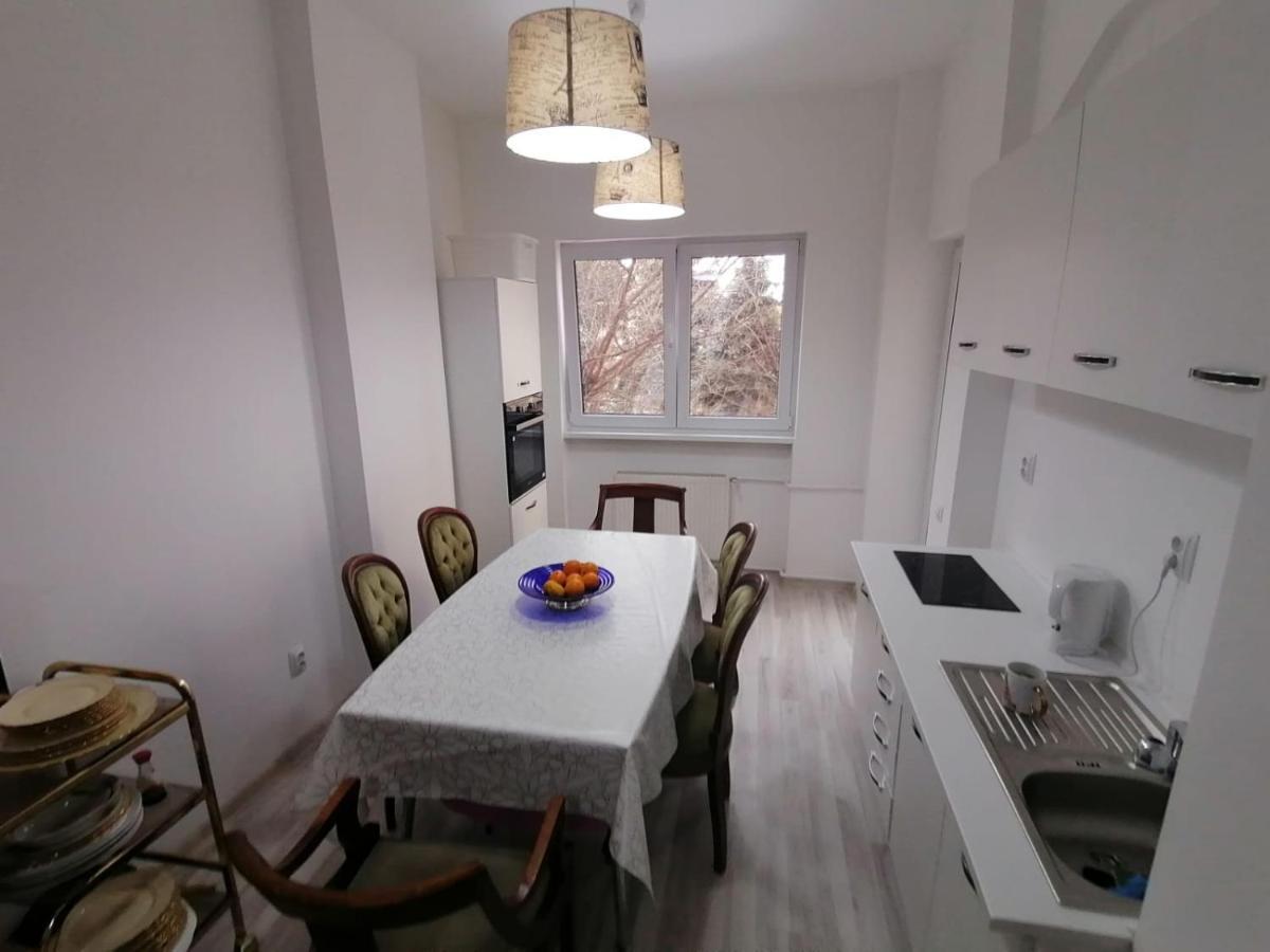 Central Appartment - Heart Of Bucharest - Sector 1 - New Renovated - Open Space Bagian luar foto