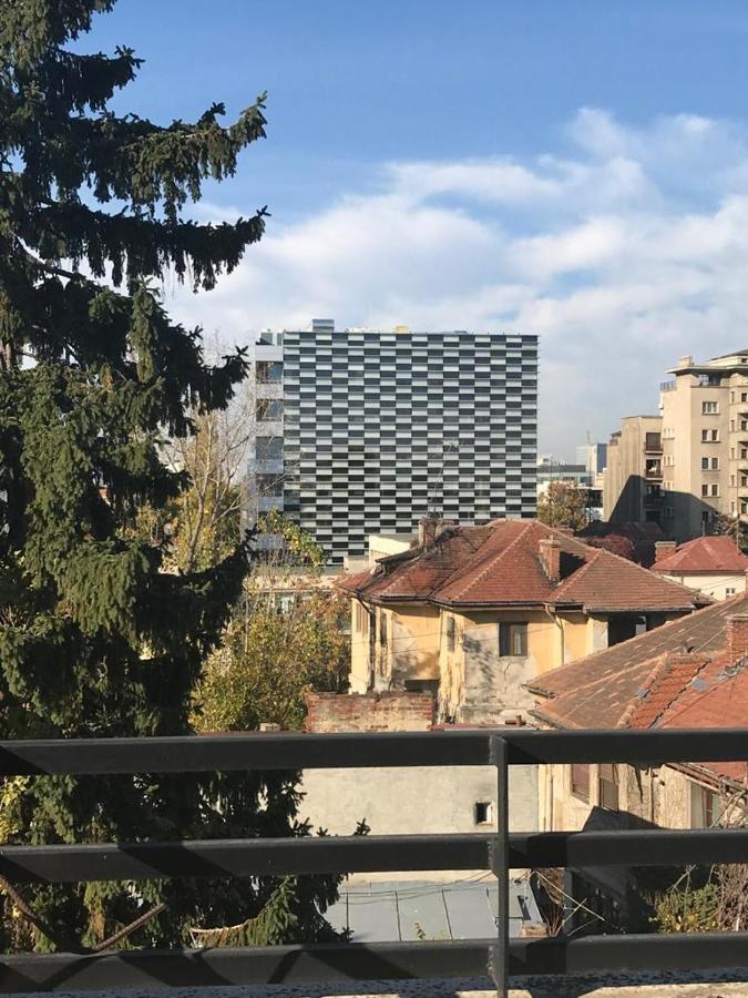 Central Appartment - Heart Of Bucharest - Sector 1 - New Renovated - Open Space Bagian luar foto